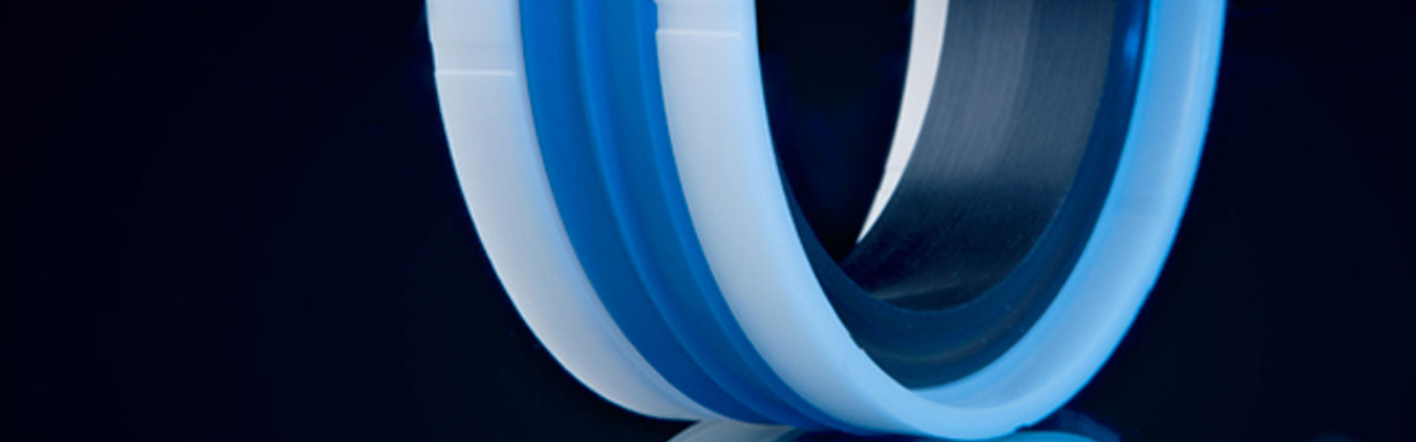 Dynamic Seals Singapore ERIKS