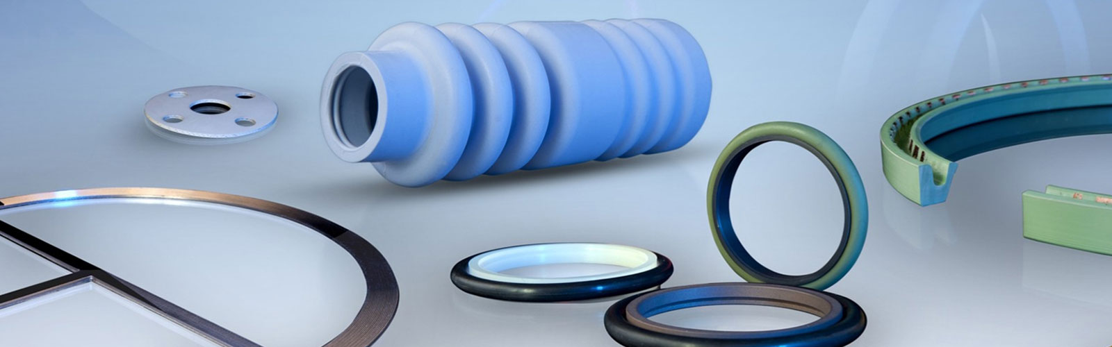 Polymax O-Rings, Dynamic Seals Rubber Hose Singapore | ERIKS